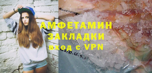 прущие грибы Зеленодольск