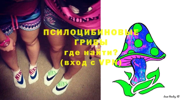 СК Зеленокумск