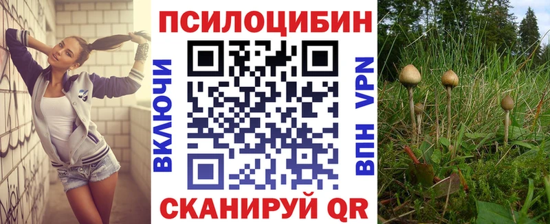 купить наркоту  Жуковский  Галлюциногенные грибы Psilocybine cubensis 