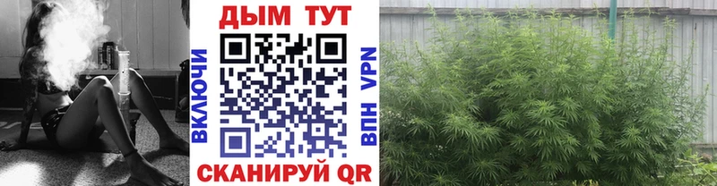 Канабис Bruce Banner  закладка  Жуковский 